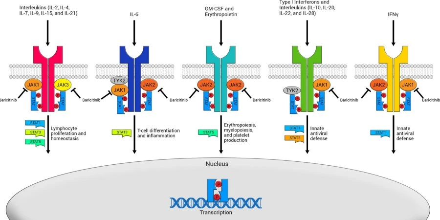 Baricitinib