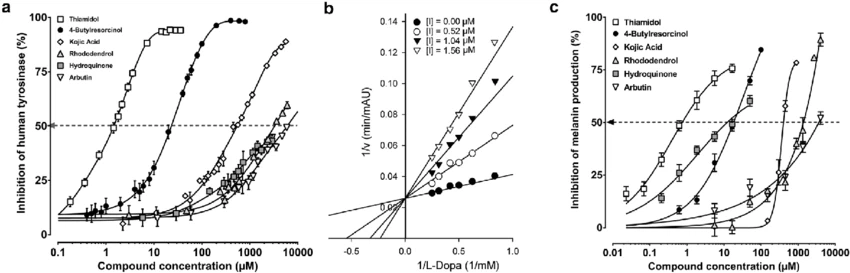 Thiamidol VS Hydroquinone