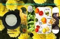 Des chercheurs examinent le rôle potentiel de la diosmétine dans la lutte con...