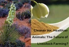 Un air plus pur et des animaux en meilleure santé L'avenir de l'élevage