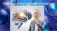 Les nouvelles avancées dans la recherche sur l’énergie cellulaire peuvent-ell...