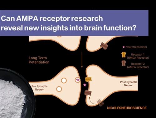 La recherche sur les récepteurs AMPA peut-elle révéler de nouvelles informati...