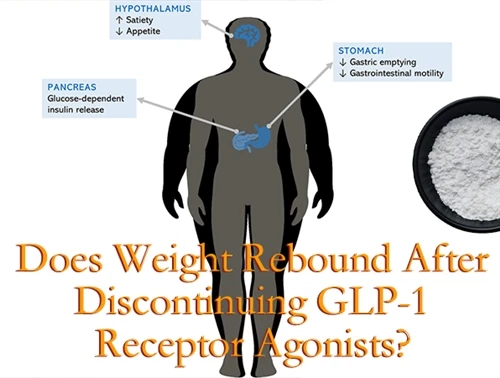 Le poids rebondit-il après l'arrêt de GLP-1 agonistes des récepteurs