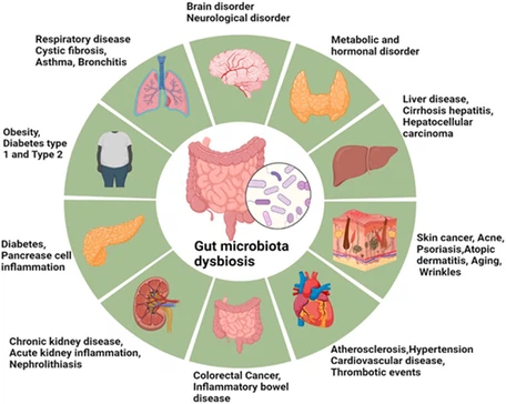 62 99 powder neomycin sulphate B 62 99 powder neomycin sulphate B